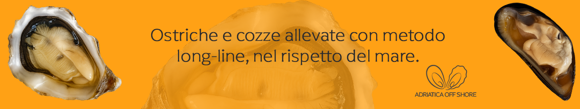 Banner prodotti mare
